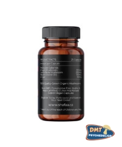 Alternative view of Shafaa Evolve Magic Mushroom Microdosing Cognition Capsules