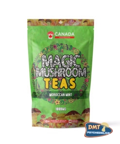 USA Mushrooms Tea | 1000MG | Moroccan Mint