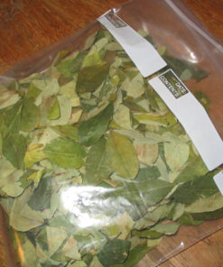Buy Coca Leaves Online in USA